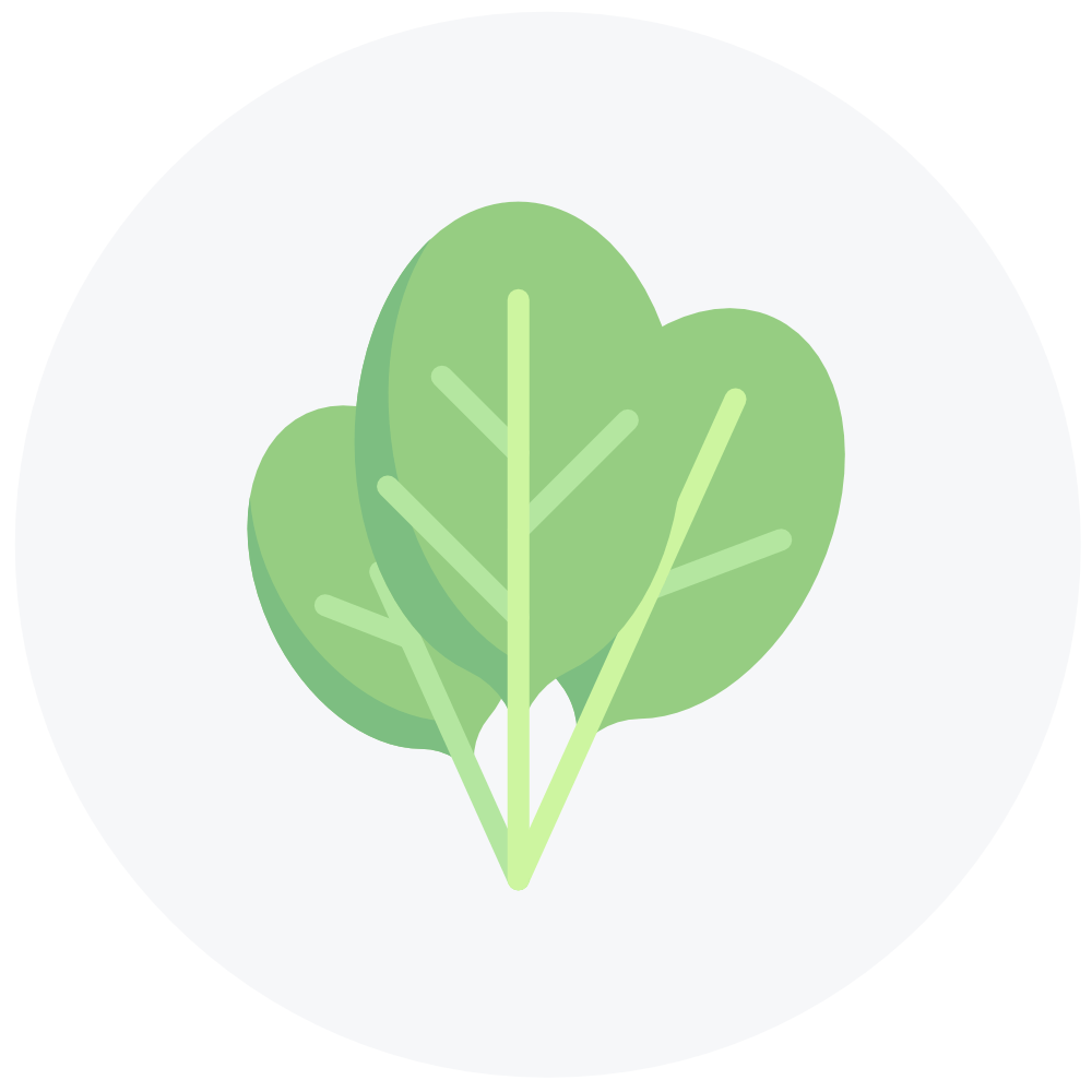 Just Matcha Spinach Icon | 9x More beta carotene than spinach